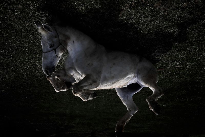 © Andrea Agostini - Image from the Nòstos (Homecoming) photography project