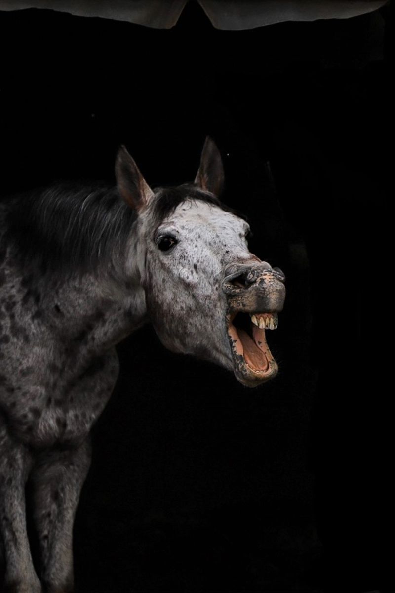 © Andrea Agostini - Image from the Nòstos (Homecoming) photography project