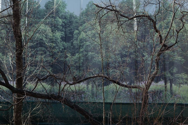 © Ksenia Sidorova - Image from the I hate you too photography project