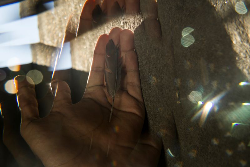 © Nicolás Bernal - My hand holds a bird feather.