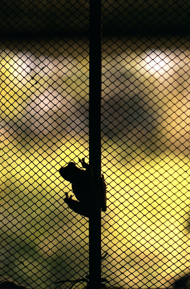 © Laura Fernanda Florez - Image from the Nothing lasts forever under the light of the sun photography project