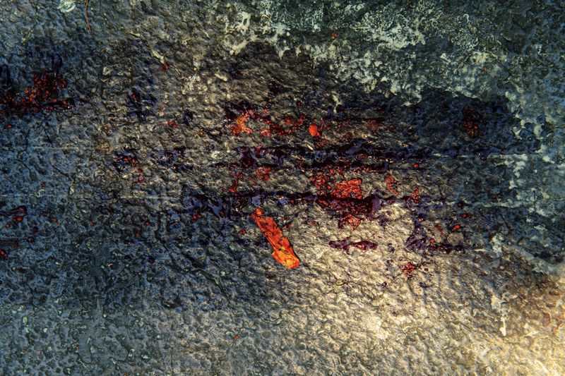 © Bella Cardim - Image from the Beyond the Body:Unraveling the Ties Between Food, Feeling, and Form photography project