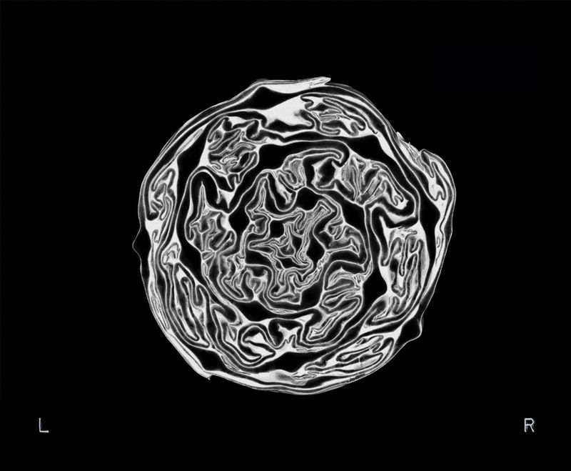 © Bella Cardim - Image from the Beyond the Body:Unraveling the Ties Between Food, Feeling, and Form photography project