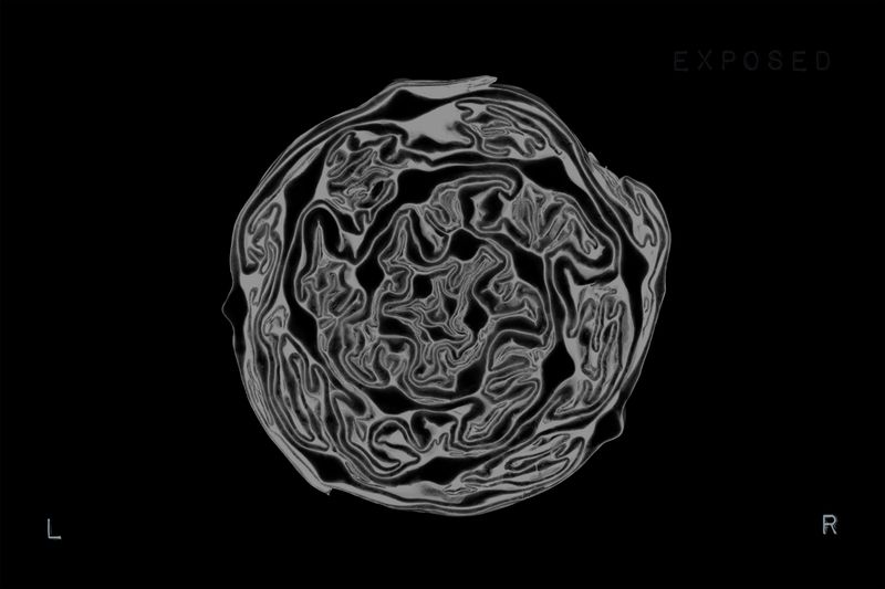 © Bella Cardim - Image from the Beyond the Body:Unraveling the Ties Between Food, Feeling, and Form photography project