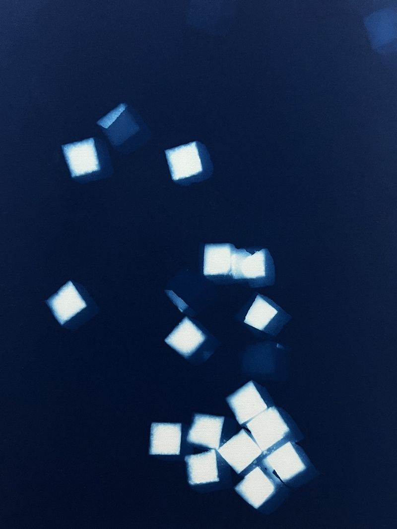 © Bella Cardim - Bella Cardim, Sugar Blues, 2023.