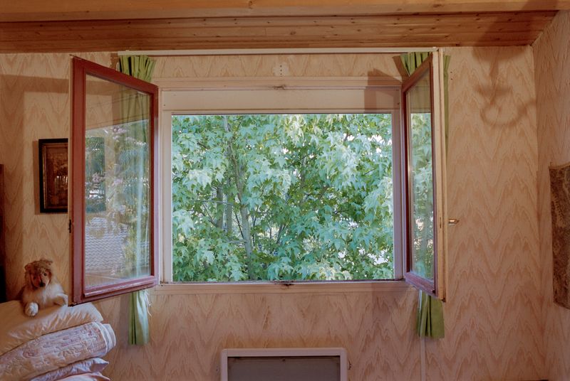 © Fiona Veronique - The Public Also Has Talent