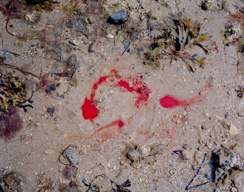 © Fiona Veronique - Mother's Blood