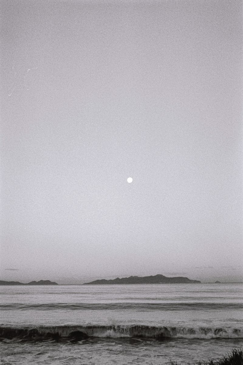 © Halley Argue - Image from the Hey Siri, where do I go to disappear into nature where no one can find me? photography project