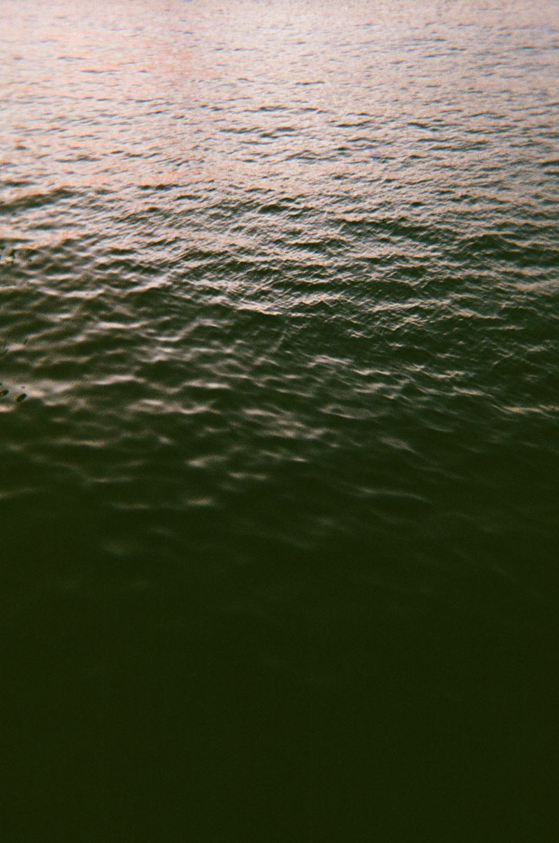 © Halley Argue - Image from the Hey Siri, where do I go to disappear into nature where no one can find me? photography project