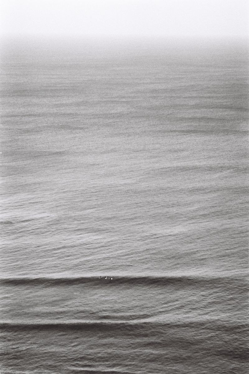 © Halley Argue - Image from the Hey Siri, where do I go to disappear into nature where no one can find me? photography project