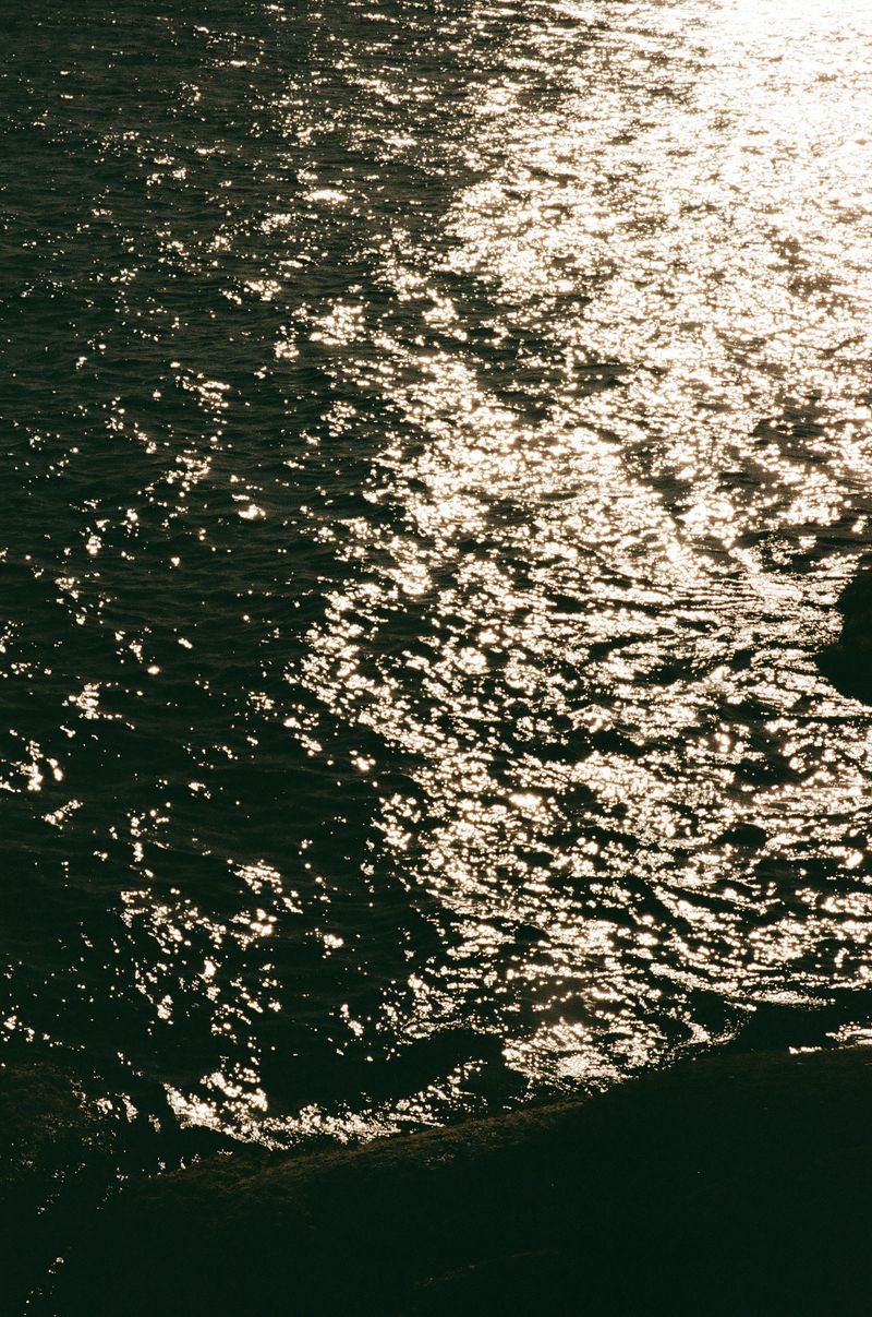 © Halley Argue - Image from the Hey Siri, where do I go to disappear into nature where no one can find me? photography project