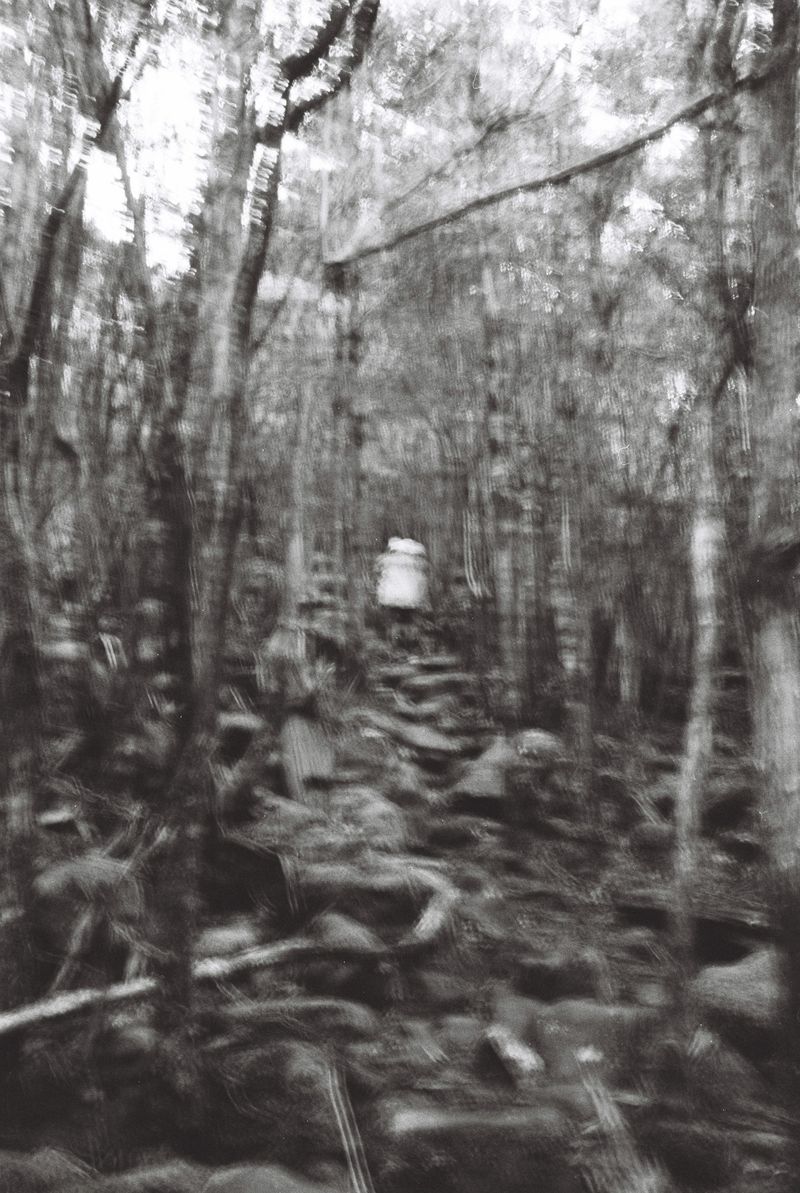 © Halley Argue - Image from the Hey Siri, where do I go to disappear into nature where no one can find me? photography project