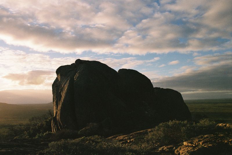 © Halley Argue - Image from the Hey Siri, where do I go to disappear into nature where no one can find me? photography project