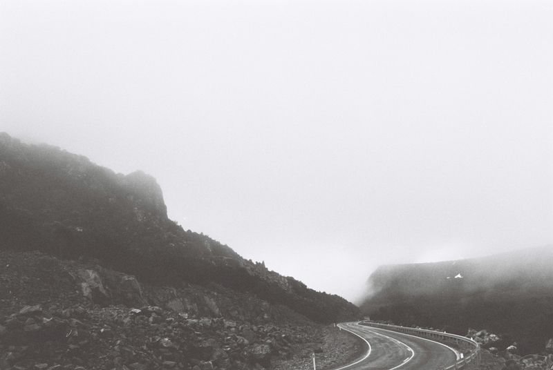 © Halley Argue - Image from the Hey Siri, where do I go to disappear into nature where no one can find me? photography project