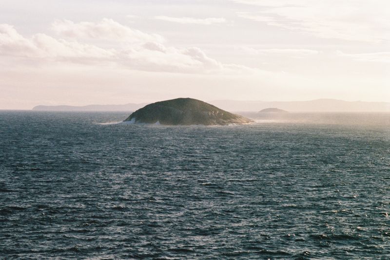 © Halley Argue - Image from the Hey Siri, where do I go to disappear into nature where no one can find me? photography project