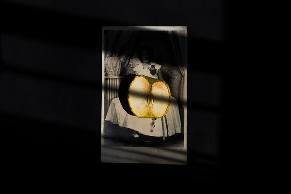 © Karla Guerrero - Apple pie