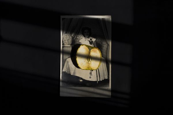 © Karla Guerrero - Apple pie