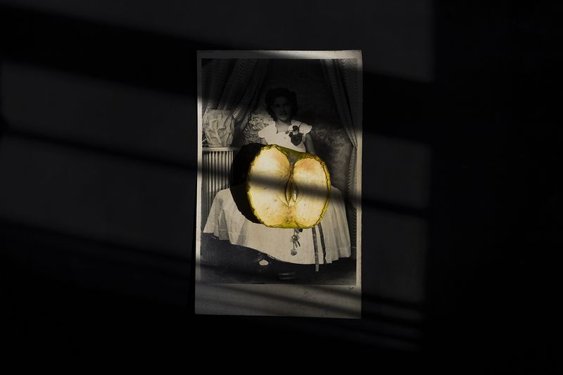 © Karla Guerrero - Apple pie