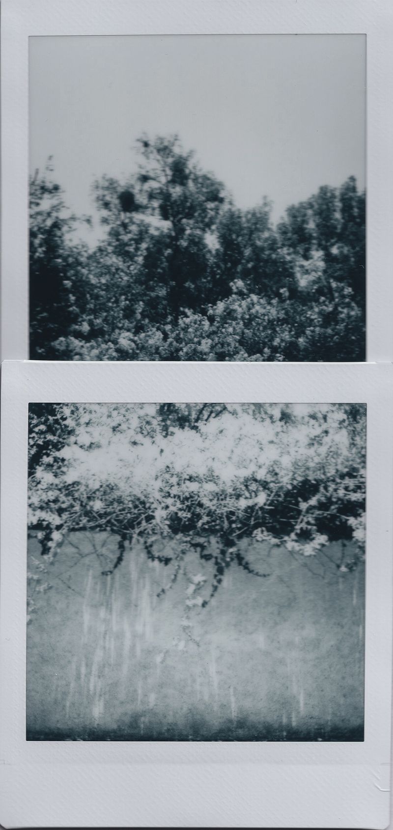 © Karla Guerrero - Image from the Blanco Universo photography project