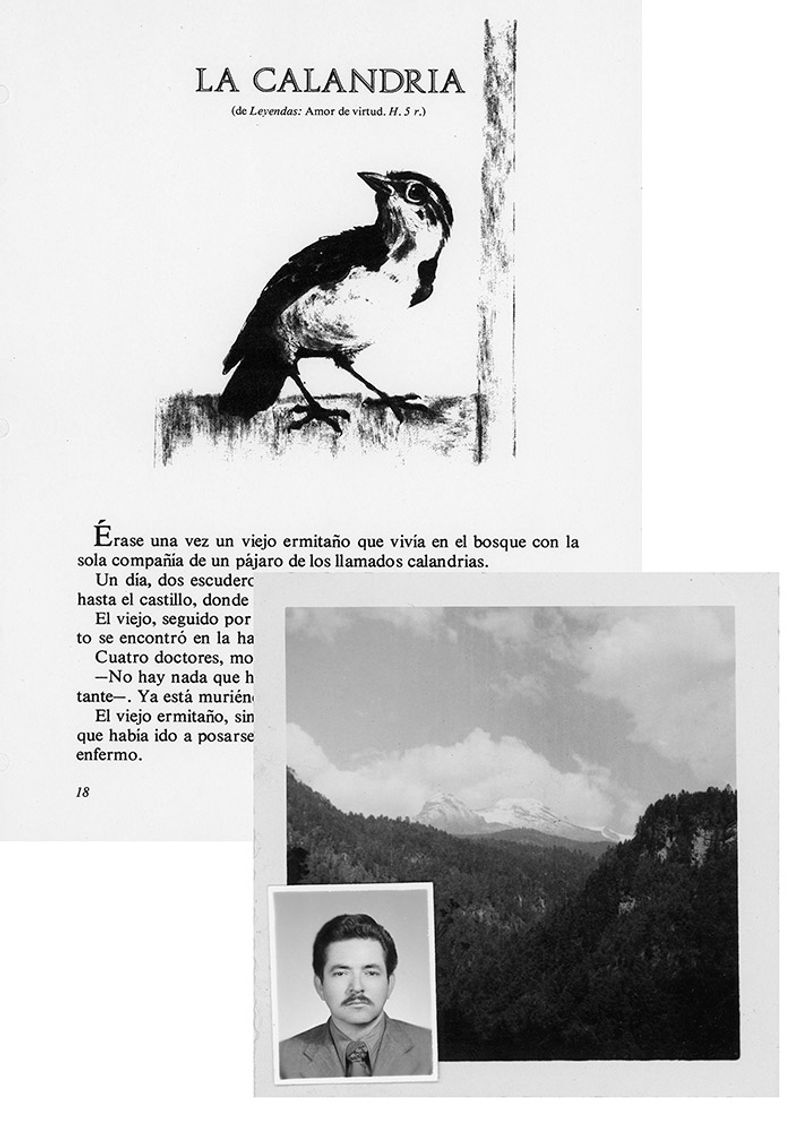 © Karla Guerrero - El viejo y La Calandria (The old man and the Calandria)