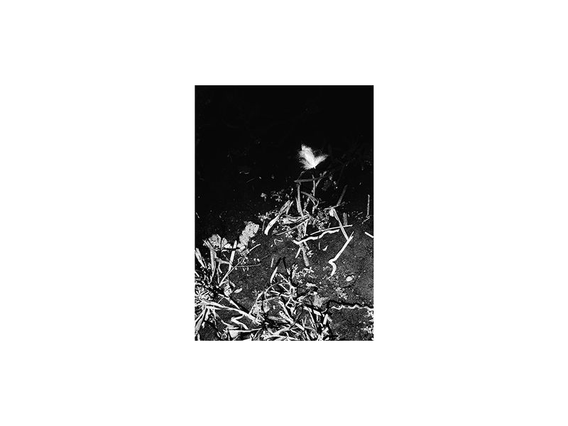 © Laura Luciana Nocetti - Image from the Mutar photography project