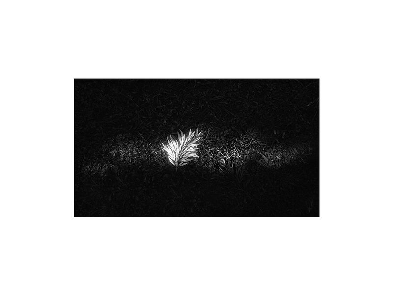 © Laura Luciana Nocetti - Image from the Mutar photography project