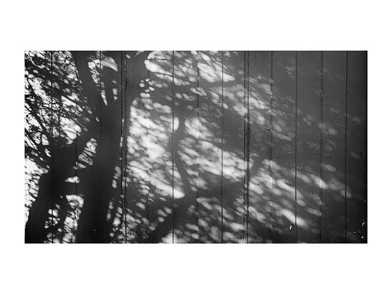 © Laura Luciana Nocetti - Image from the Mutar photography project