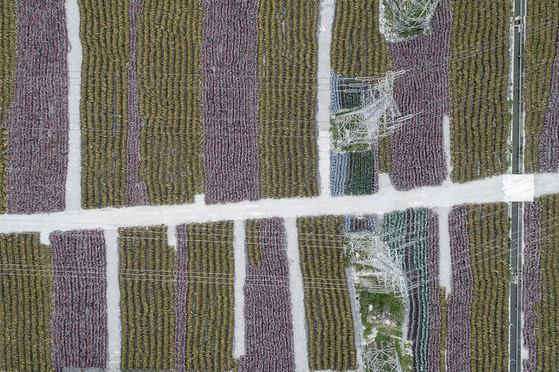 © WU GUOYONG - 07 Shanghai, China More than 100,000 shared bicycles of various brands and colors spread the ground. 2018/05/19