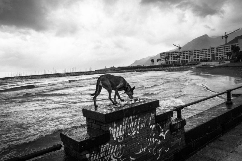 © Gianni Cipriano - Image from the Vox Populi photography project
