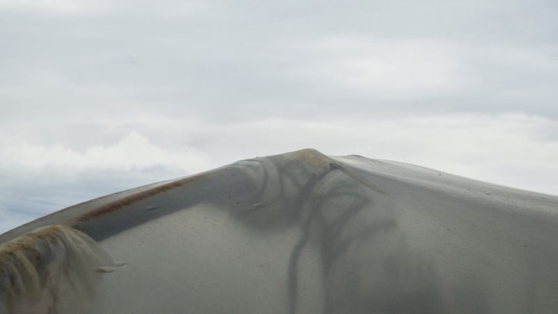 © Andrea Foligni - Image from the Fakescapes photography project