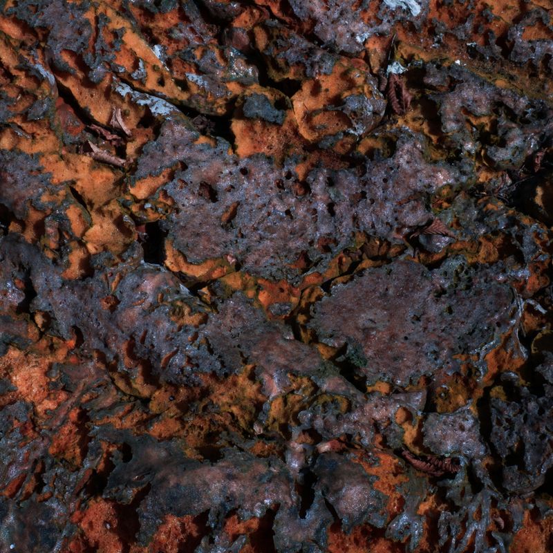 © Andrea Foligni - Image from the Fakescapes photography project