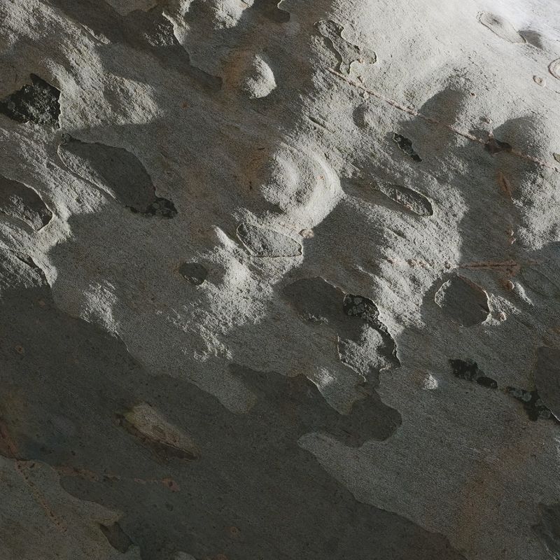 © Andrea Foligni - Image from the Fakescapes photography project