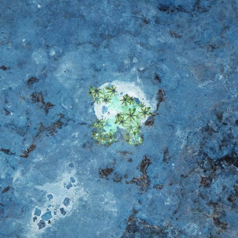 © Andrea Foligni - Image from the Fakescapes photography project