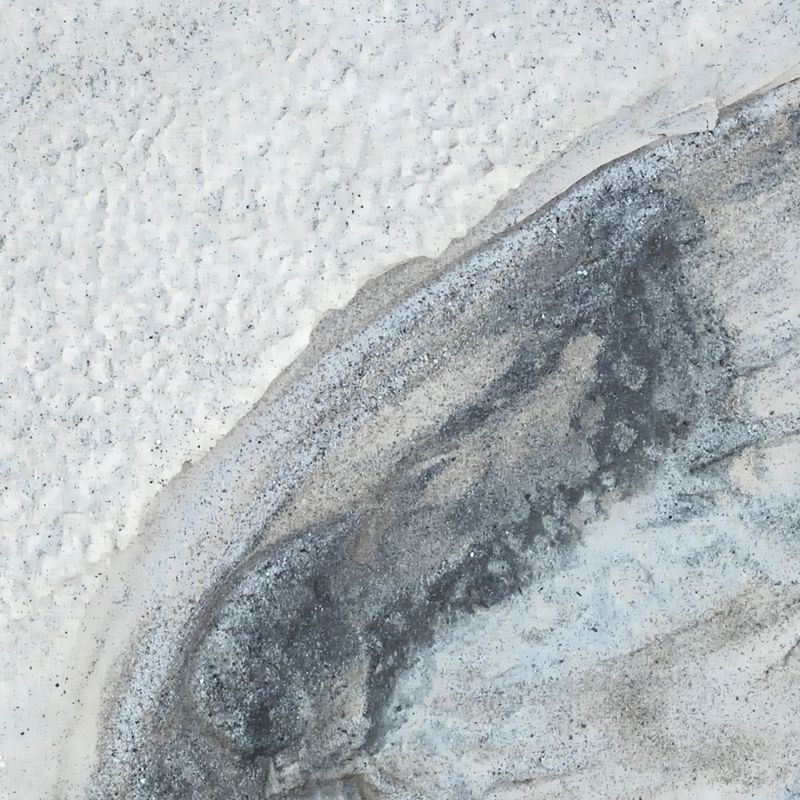 © Andrea Foligni - Image from the Fakescapes photography project