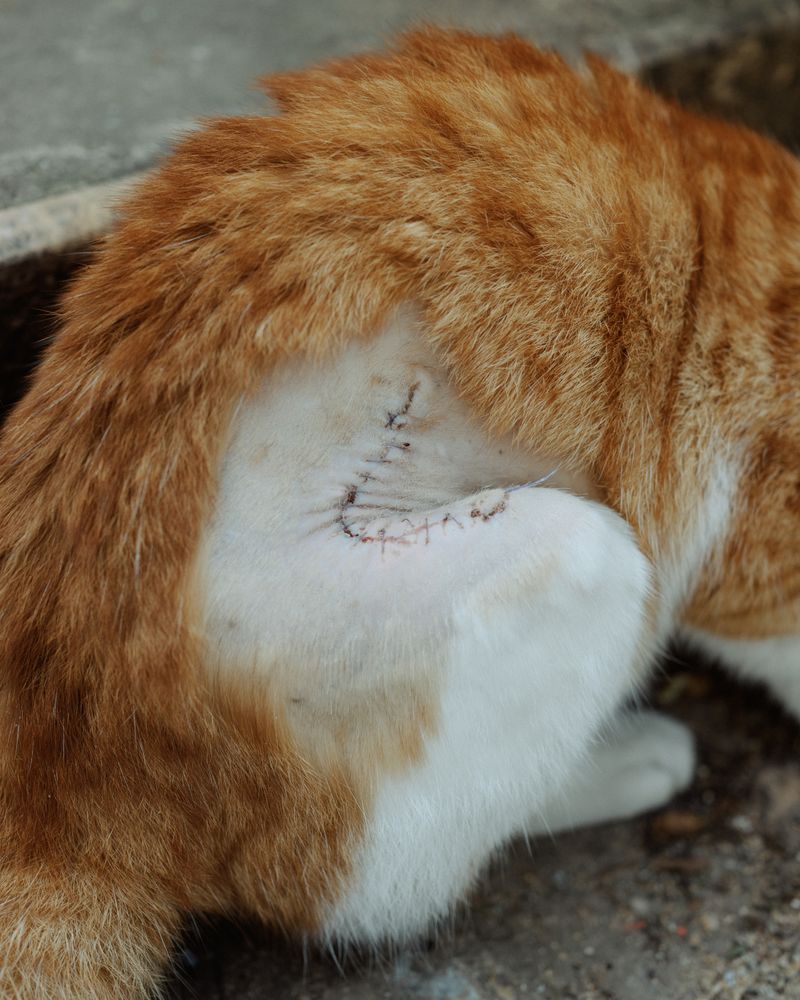 © Vedad Divovic - Image from the Home of the Perpetually Lost photography project