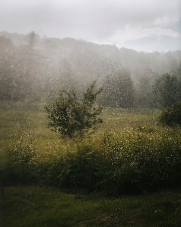 © Kelly Burgess - Image from the Root Rot photography project