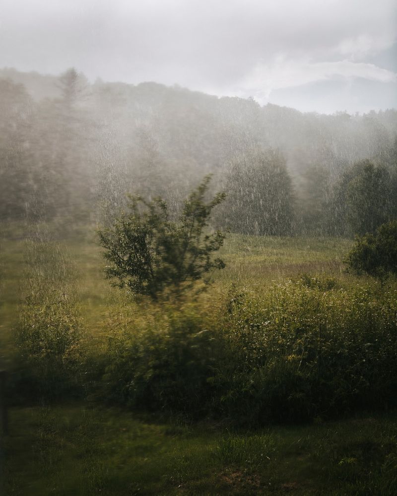 © Kelly Burgess - Image from the Root Rot photography project