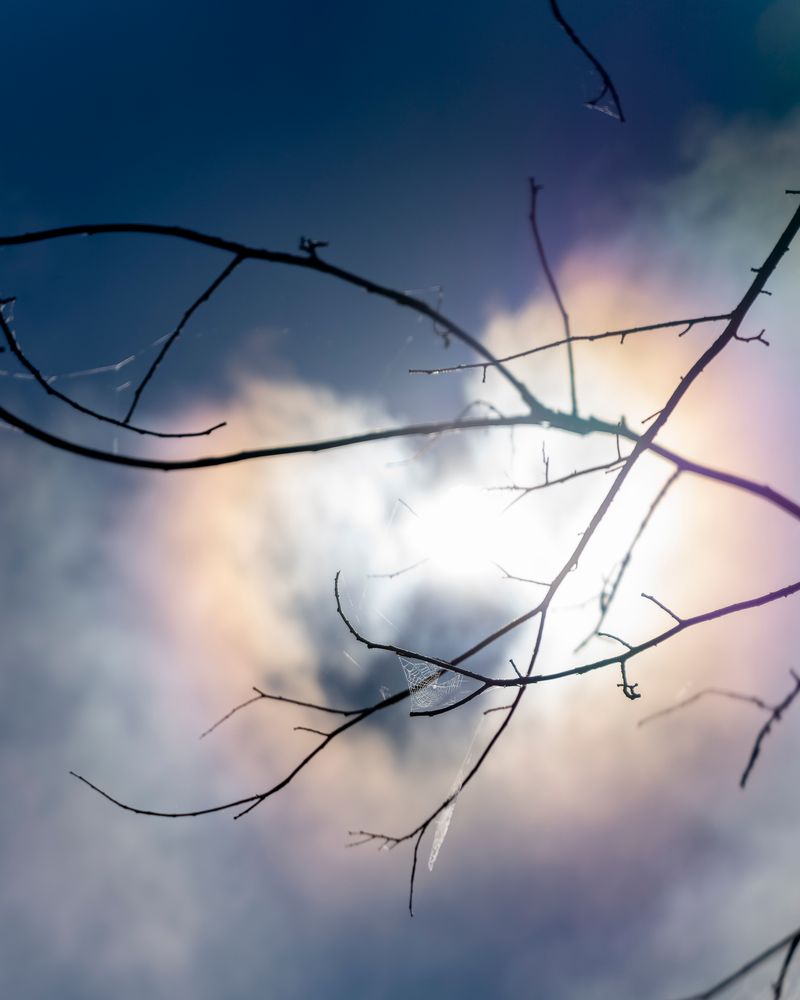 © Kelly Burgess - Image from the Root Rot photography project