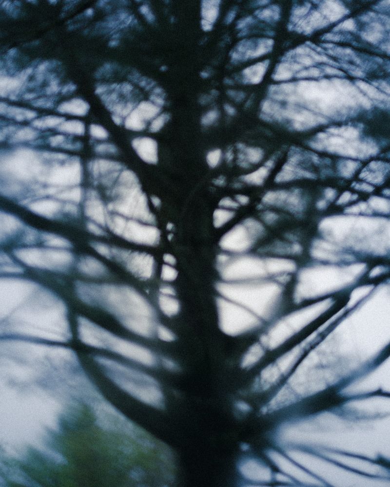 © Kelly Burgess - Image from the Root Rot photography project