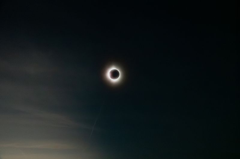 © Kelly Burgess - Image from the Root Rot photography project