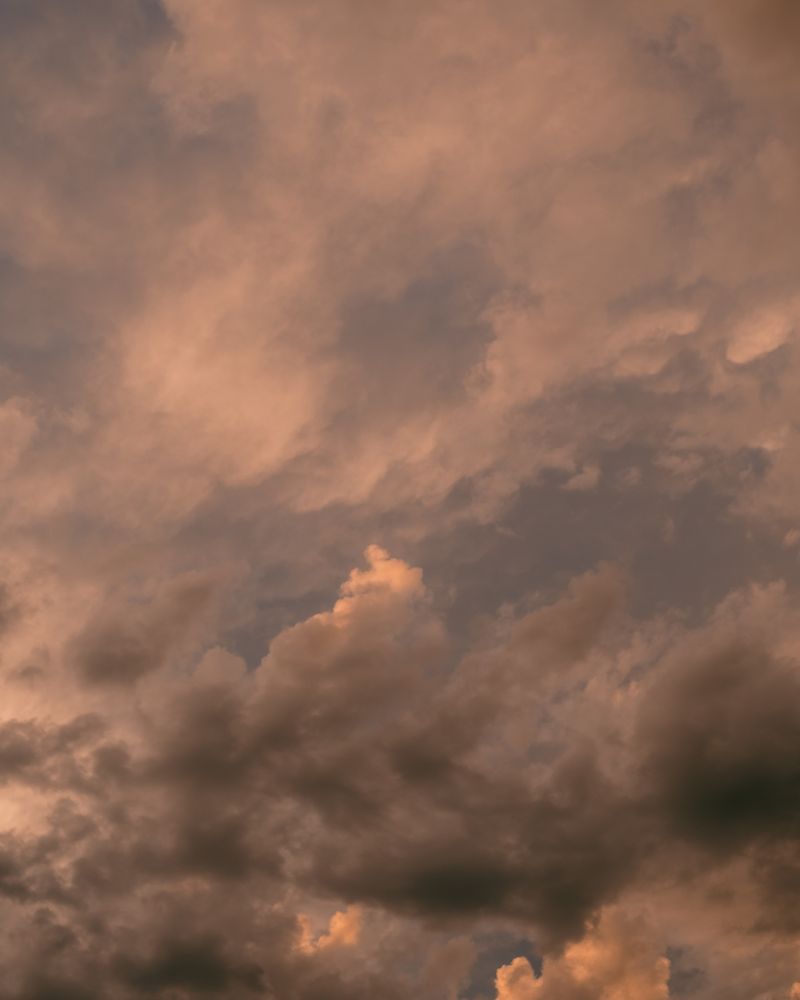 © Kelly Burgess - Image from the Root Rot photography project