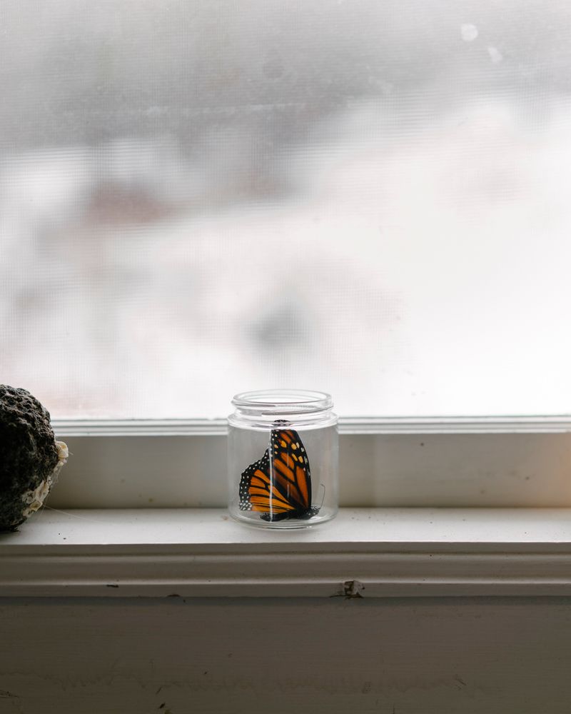 © Kelly Burgess - Image from the Root Rot photography project