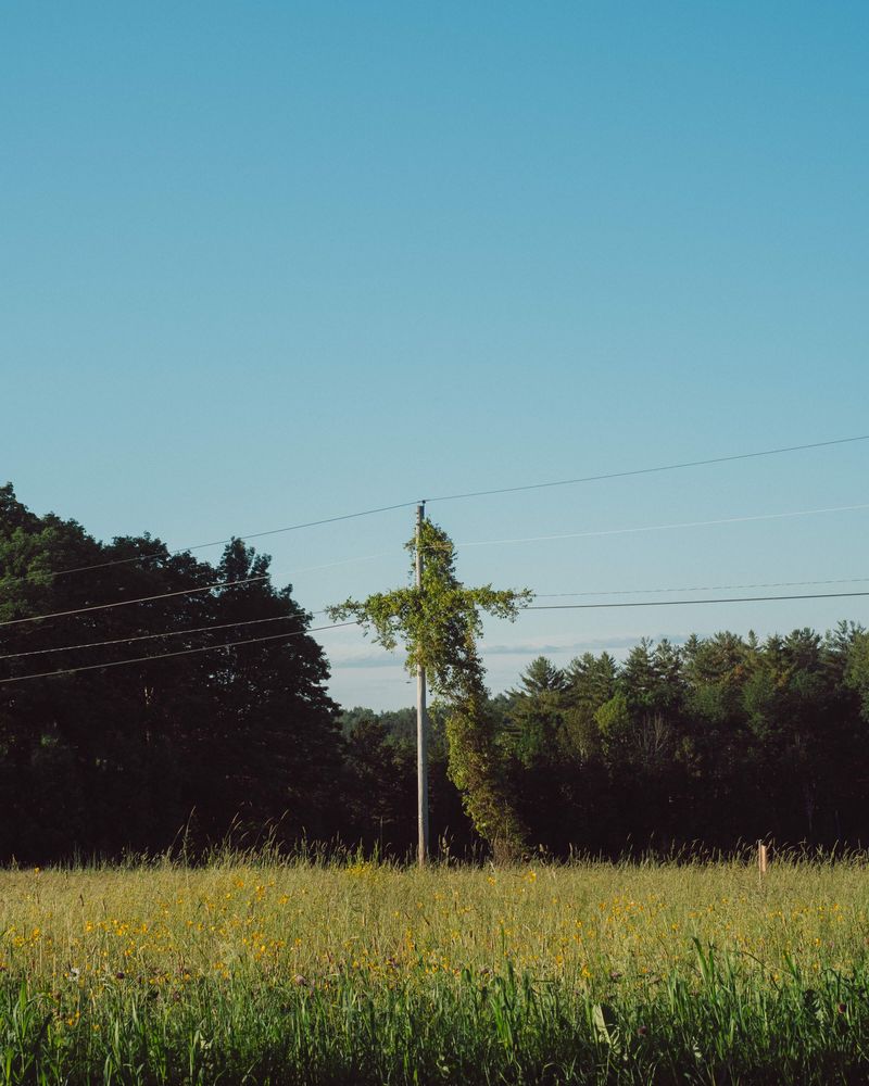 © Kelly Burgess - Image from the Root Rot photography project