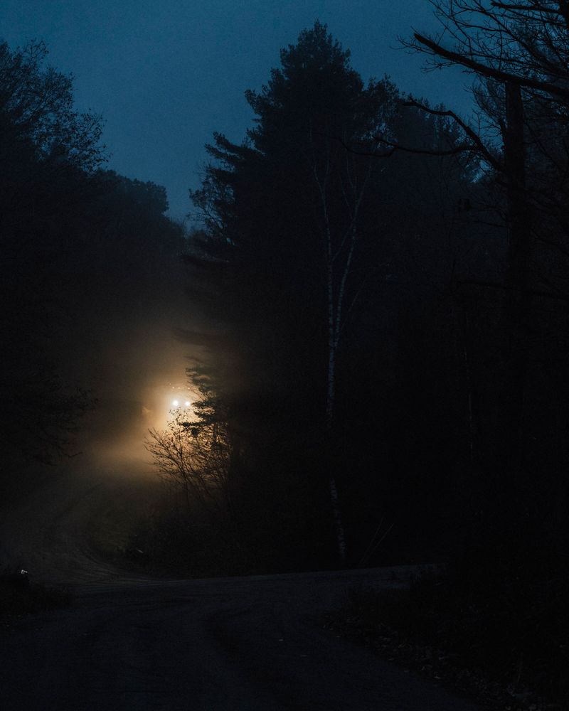 © Kelly Burgess - Image from the Root Rot photography project