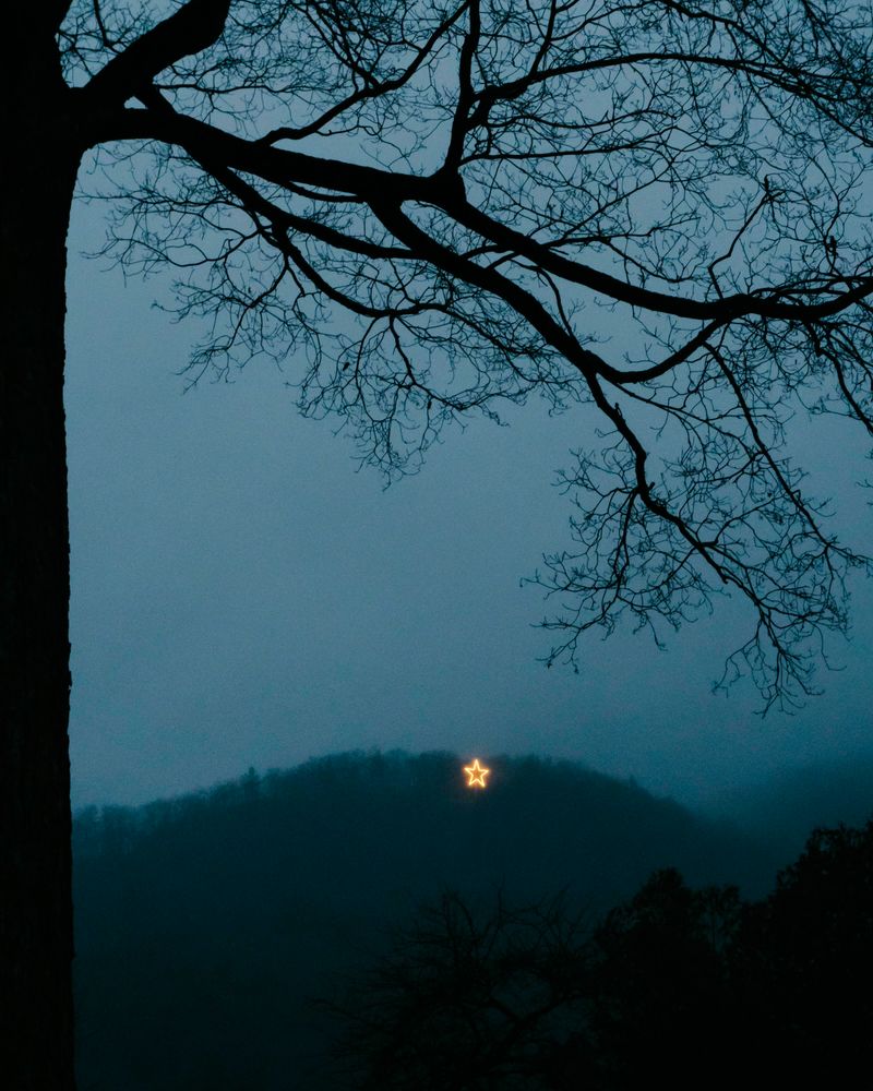 © Kelly Burgess - Image from the Root Rot photography project