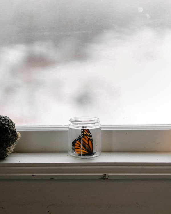 © Kelly Burgess - Image from the Root Rot photography project