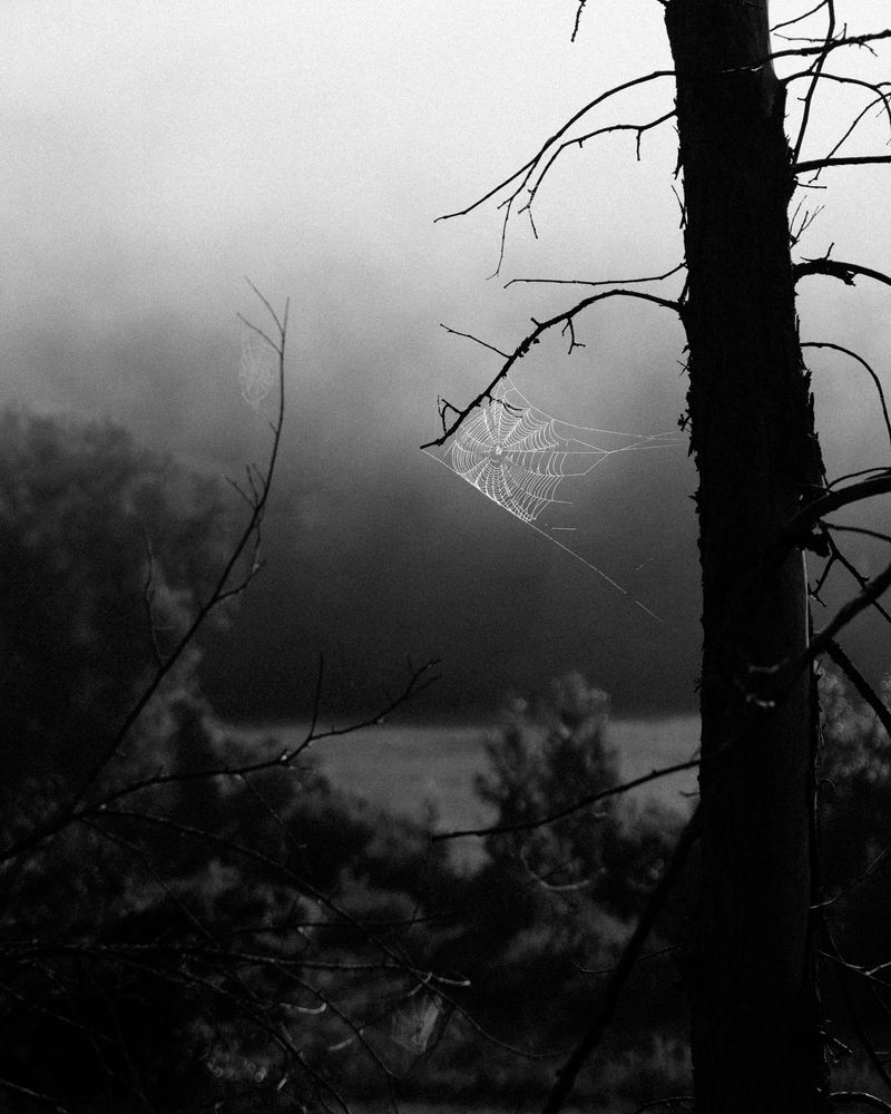 © Kelly Burgess - Image from the Root Rot photography project