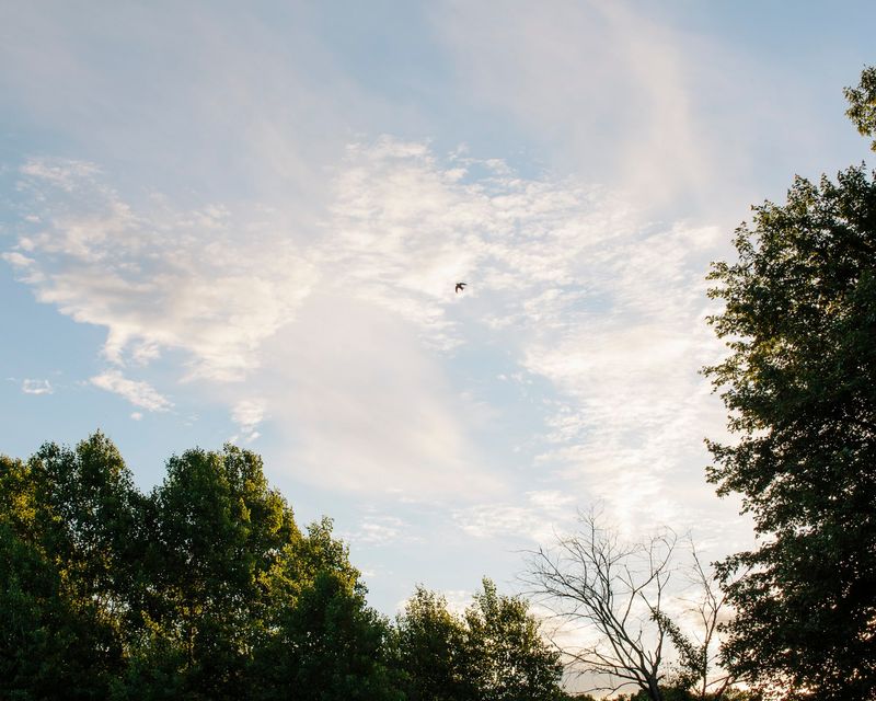 © Kelly Burgess - Image from the Root Rot photography project