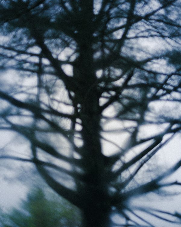 © Kelly Burgess - Image from the Root Rot photography project