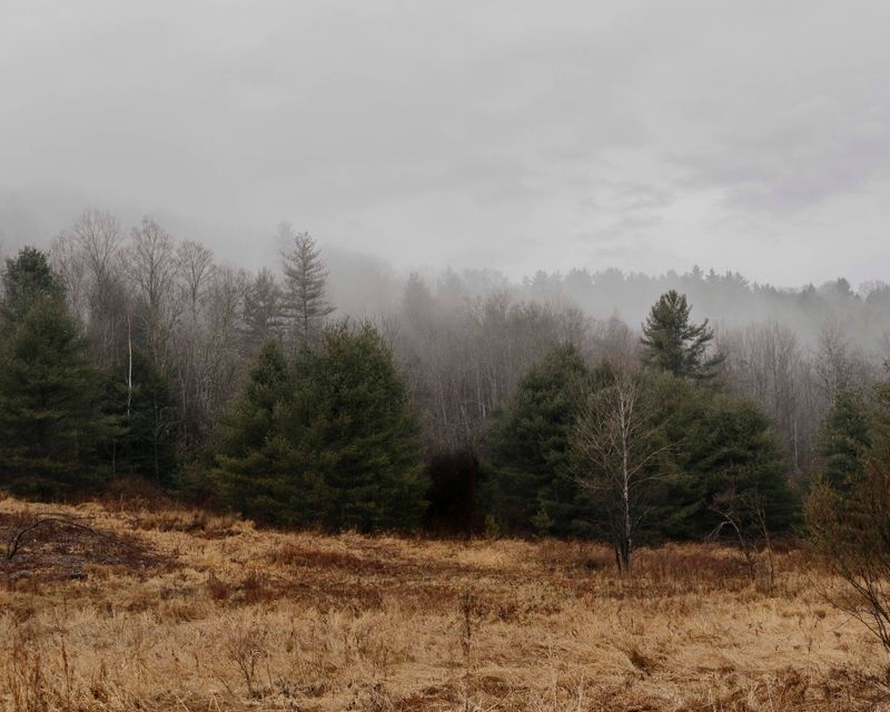 © Kelly Burgess - Image from the Root Rot photography project